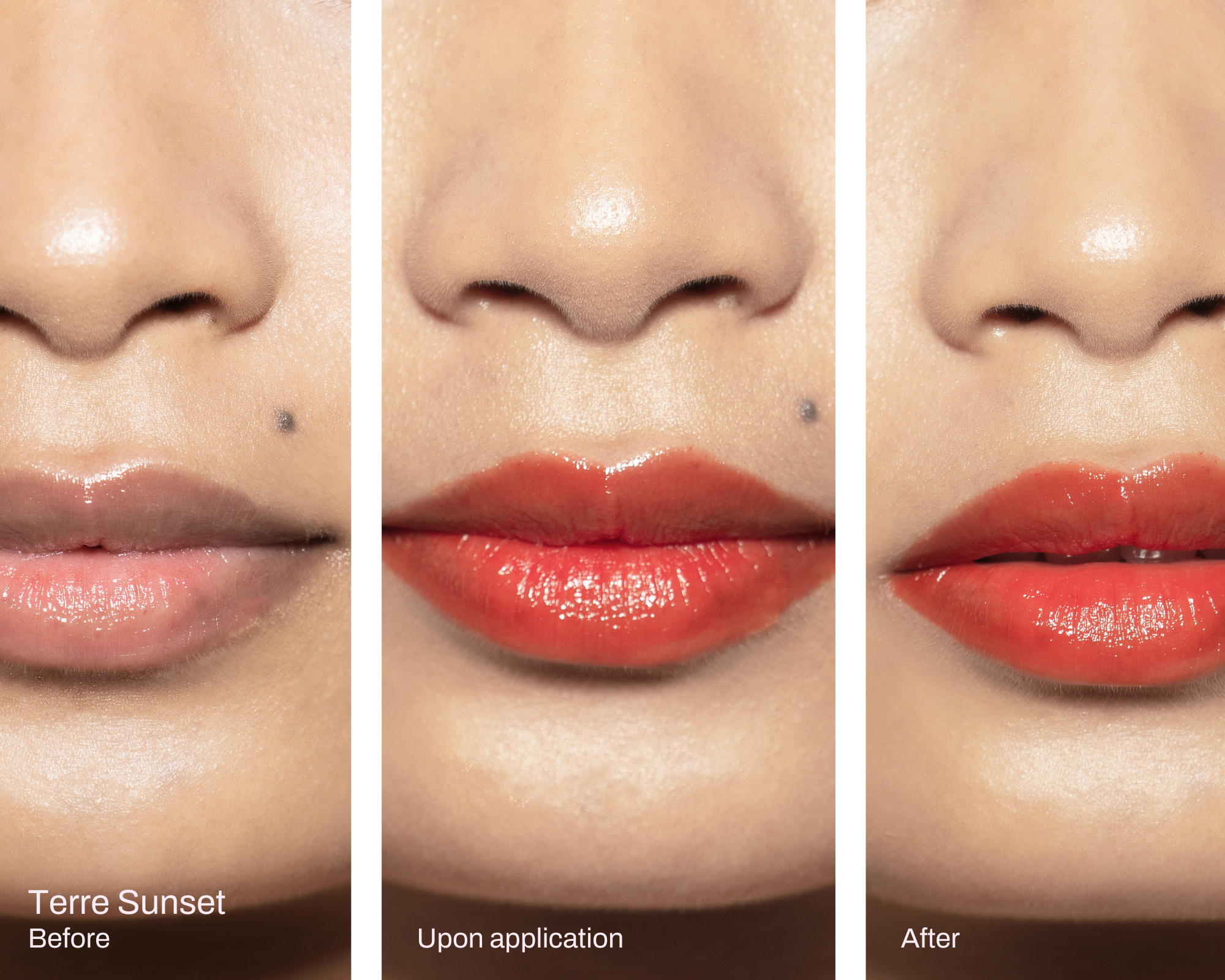 before_after_pink_lip_stain_terre_sunset_2023